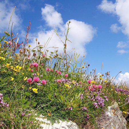Meadow Cottage Belmullet Exterior foto