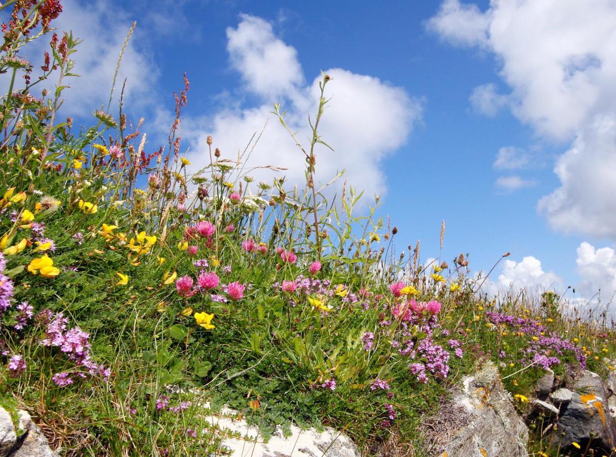 Meadow Cottage Belmullet Exterior foto